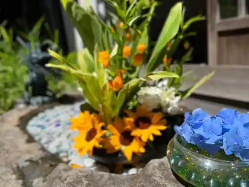 琴似神社(北海道)