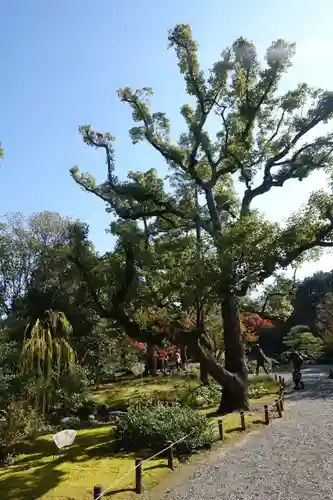 城南宮の庭園