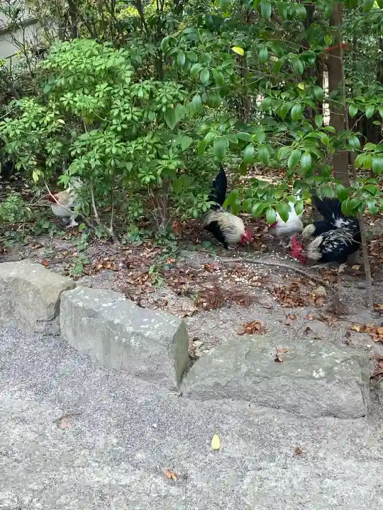 大崎八幡宮(宮城県)