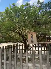 白峯神宮の庭園