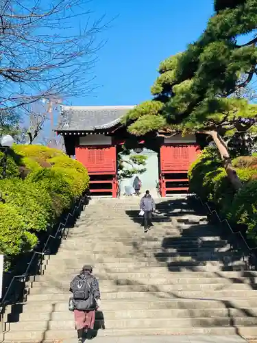 護国寺の山門