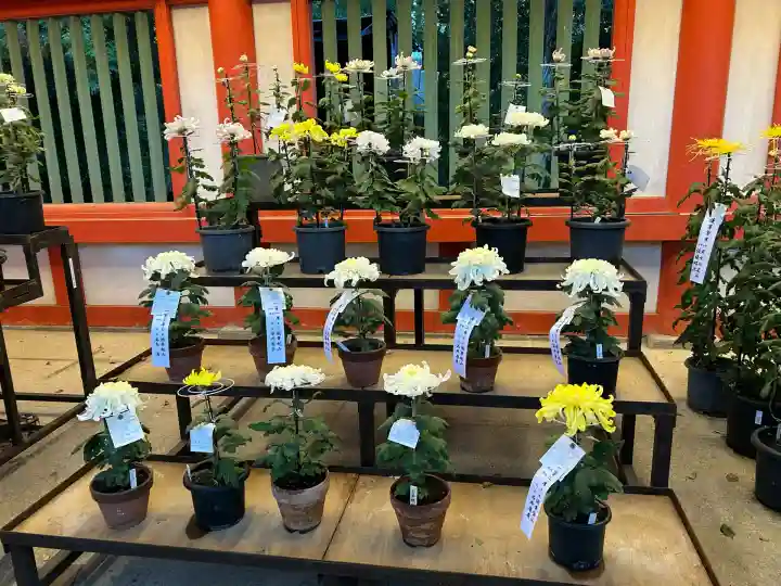 武蔵一宮氷川神社(埼玉県)