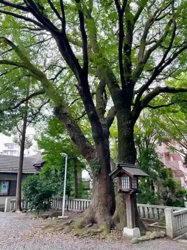 洲崎大神(神奈川県)
