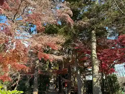 廣幡八幡宮(千葉県)
