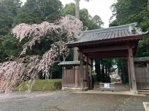 長光寺(千葉県)