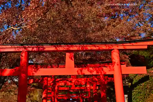 足利織姫神社(栃木県)