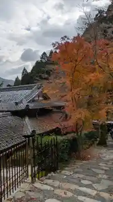 寂光院(京都府)