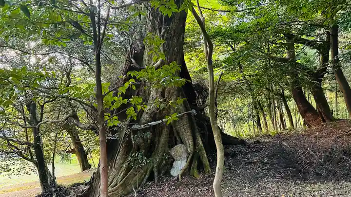 闇見神社(福井県)