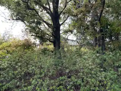龍源寺(京都府)