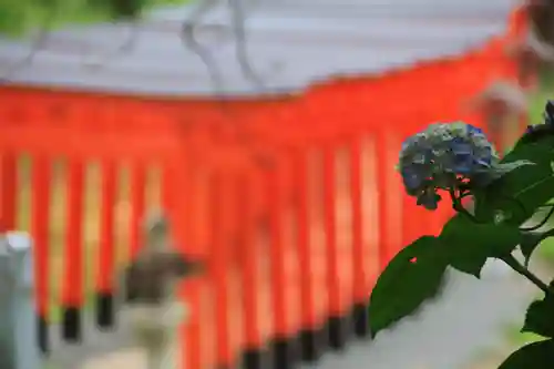 高屋敷稲荷神社の景色