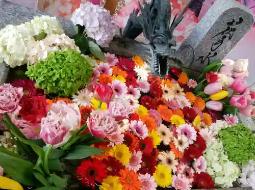 札幌諏訪神社の手水舎