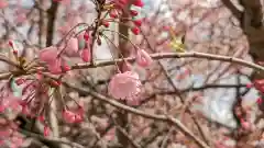 妙覺寺（妙覚寺）(京都府)