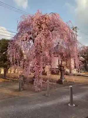 法運寺(宮城県)
