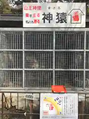 日吉大社の動物