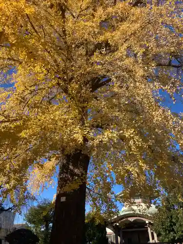 妙延寺(東京都)