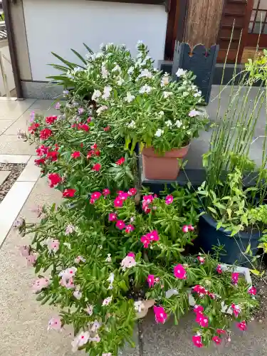 本授寺(東京都)