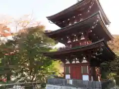 岡寺（龍蓋寺）(奈良県)