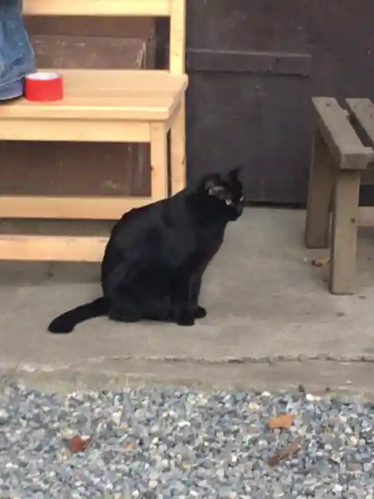 小野照崎神社の動物