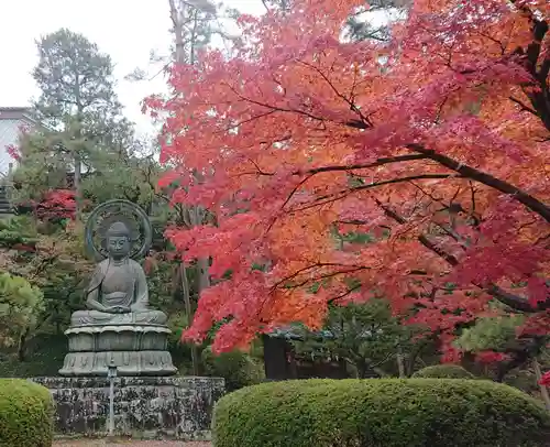 岩殿山安楽寺（吉見観音）の仏像