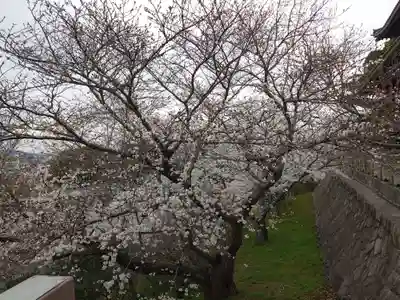 防府天満宮(山口県)