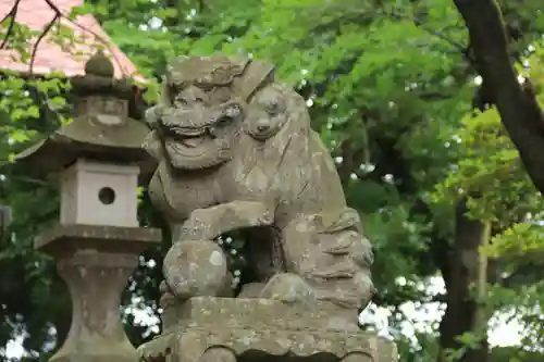 菅布禰神社の狛犬