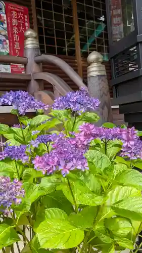 大日寺(大阪府)