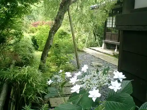 瑞泉寺の庭園