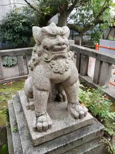 猿江神社の狛犬