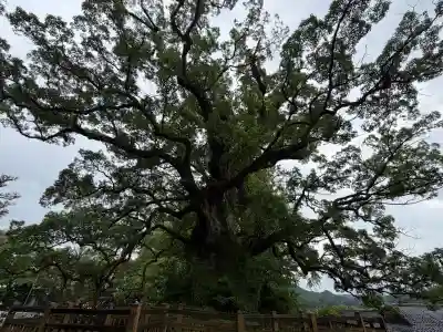 蒲生八幡神社(鹿児島県)