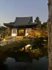 高台寺（高台寿聖禅寺・高臺寺）(京都府)