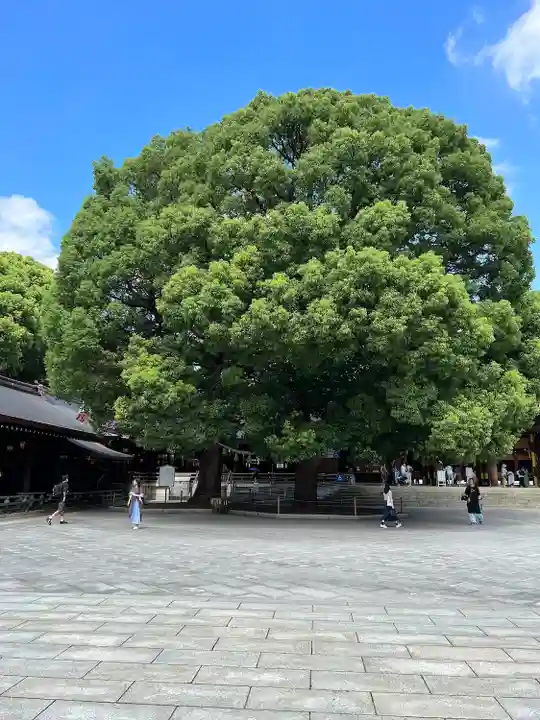 明治神宮(東京都)