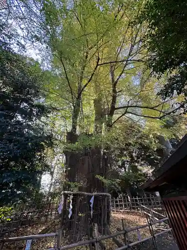 大國魂神社(東京都)