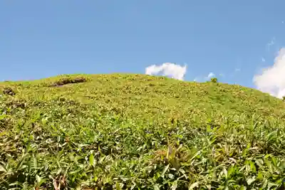 大山祇神社(高知県)