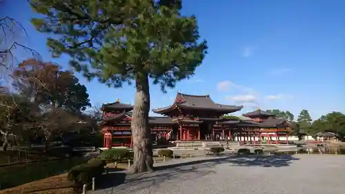 平等院の景色