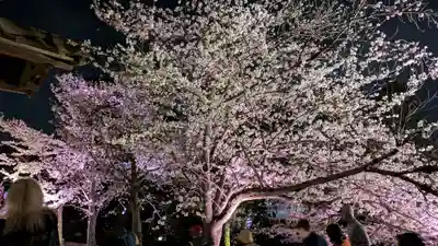 知恩院(京都府)