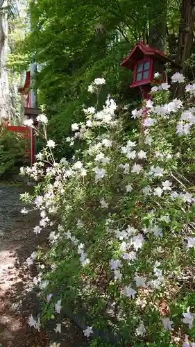 鼻顔稲荷神社の自然