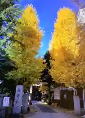 青山熊野神社(東京都)