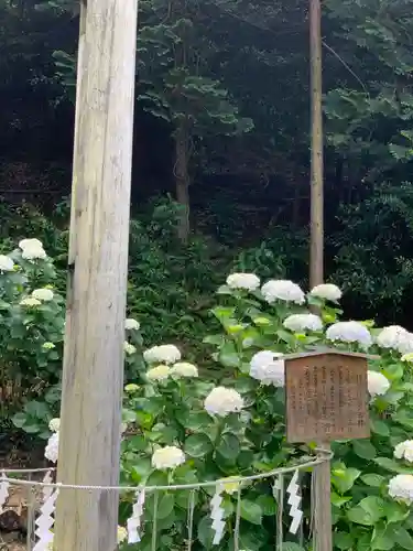 濱名惣社神明宮の自然