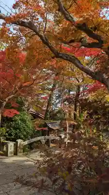 鍬山神社(京都府)