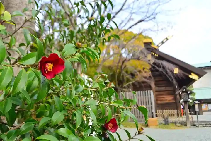 伊勢山皇大神宮(神奈川県)