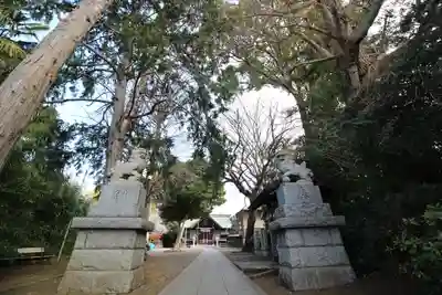 日吉神社の狛犬