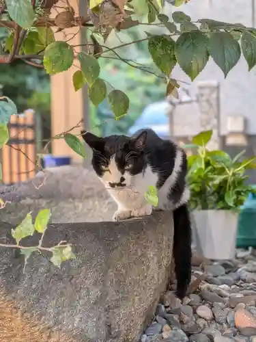 白金氷川神社(東京都)