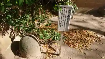 本太氷川神社のその他建物