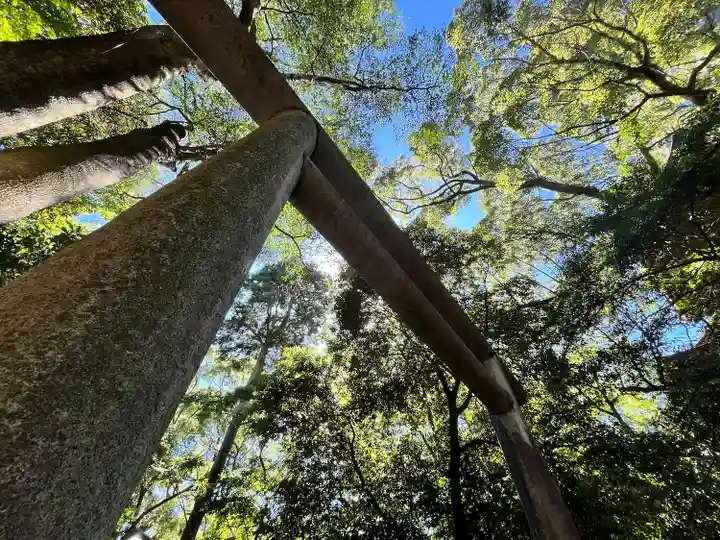金刀比羅宮(香川県)