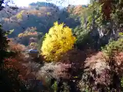 行道山 浄因寺(栃木県)