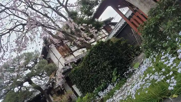 祐正寺(京都府)