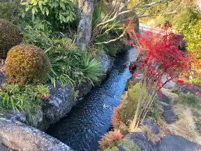 大雲院(静岡県)