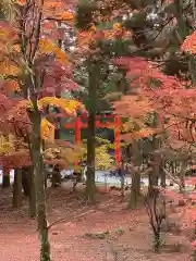 霧島神宮の自然