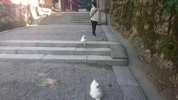 石上神宮の動物