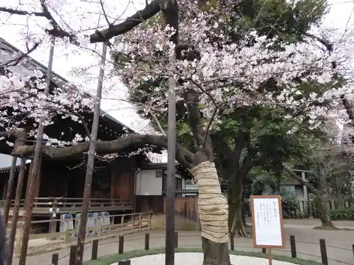 靖國神社(東京都)